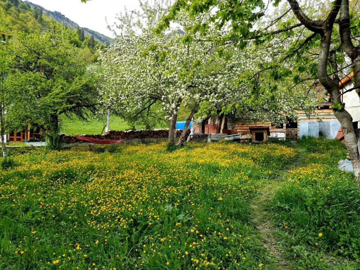 Bed and Breakfast Girgola Mestia Zewnętrze zdjęcie
